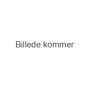 Rustfrit stål